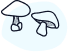 stilbenes image
