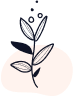 Flavonoids image